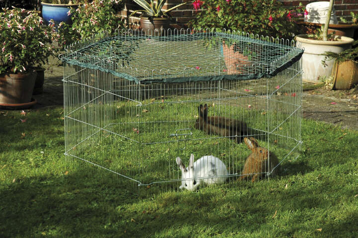 dobar Freilaufgehege